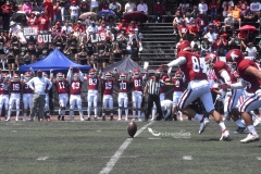 aguilas-blancas-autenticos-tigres-intermedia-2022-10