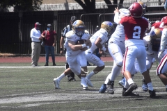 aguilas-blancas-autenticos-tigres-intermedia-2022-11