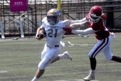 aguilas-blancas-autenticos-tigres-intermedia-2022-12
