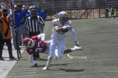 aguilas-blancas-autenticos-tigres-intermedia-2022-15