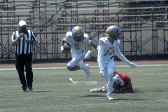 aguilas-blancas-autenticos-tigres-intermedia-2022-24
