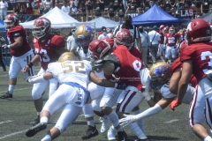 aguilas-blancas-autenticos-tigres-intermedia-2022-30