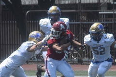 aguilas-blancas-autenticos-tigres-intermedia-2022-31