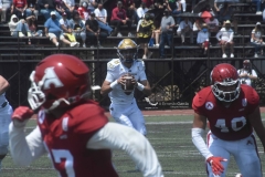 aguilas-blancas-autenticos-tigres-intermedia-2022-41