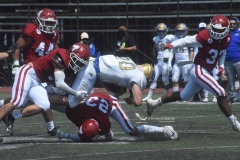 aguilas-blancas-autenticos-tigres-intermedia-2022-57