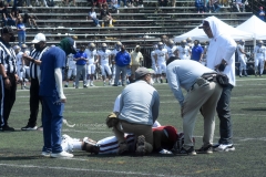 aguilas-blancas-autenticos-tigres-intermedia-2022-70