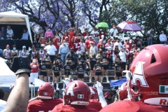 aguilas-blancas-autenticos-tigres-intermedia-2022-81
