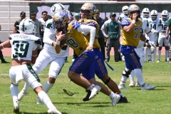 autenticos-tigres-cheyennes-ipn-intermedia-2025-onefa-100
