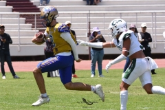 autenticos-tigres-cheyennes-ipn-intermedia-2025-onefa-101