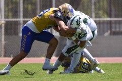 autenticos-tigres-cheyennes-ipn-intermedia-2025-onefa-115