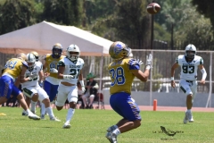 autenticos-tigres-cheyennes-ipn-intermedia-2025-onefa-116