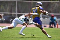 autenticos-tigres-cheyennes-ipn-intermedia-2025-onefa-117
