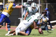 autenticos-tigres-cheyennes-ipn-intermedia-2025-onefa-126