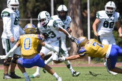 autenticos-tigres-cheyennes-ipn-intermedia-2025-onefa-128