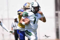 autenticos-tigres-cheyennes-ipn-intermedia-2025-onefa-131