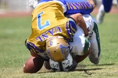 autenticos-tigres-cheyennes-ipn-intermedia-2025-onefa-134
