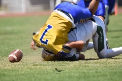 autenticos-tigres-cheyennes-ipn-intermedia-2025-onefa-135
