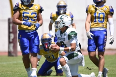 autenticos-tigres-cheyennes-ipn-intermedia-2025-onefa-18