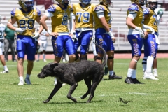 autenticos-tigres-cheyennes-ipn-intermedia-2025-onefa-27