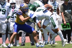 autenticos-tigres-cheyennes-ipn-intermedia-2025-onefa-35