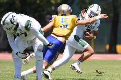 autenticos-tigres-cheyennes-ipn-intermedia-2025-onefa-38
