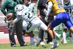 autenticos-tigres-cheyennes-ipn-intermedia-2025-onefa-41