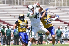 autenticos-tigres-cheyennes-ipn-intermedia-2025-onefa-45