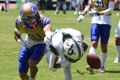 autenticos-tigres-cheyennes-ipn-intermedia-2025-onefa-50