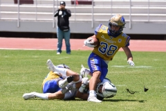 autenticos-tigres-cheyennes-ipn-intermedia-2025-onefa-71