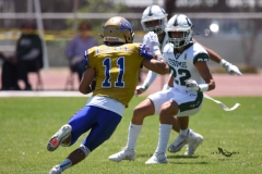 autenticos-tigres-cheyennes-ipn-intermedia-2025-onefa-80