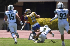 autenticos-tigres-cheyennes-ipn-intermedia-2025-onefa-82