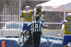 autenticos-tigres-cheyennes-ipn-intermedia-2025-onefa-83