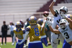 autenticos-tigres-cheyennes-ipn-intermedia-2025-onefa-84