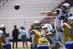 autenticos-tigres-cheyennes-ipn-intermedia-2025-onefa-85