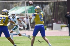 autenticos-tigres-cheyennes-ipn-intermedia-2025-onefa-87