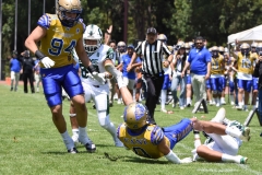 autenticos-tigres-cheyennes-ipn-intermedia-2025-onefa-97