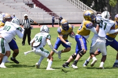 autenticos-tigres-cheyennes-ipn-intermedia-2025-onefa-99