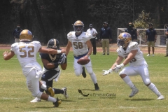 pumas-cu-autenticos-tigres-2022-intermedia-20