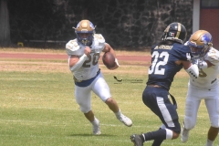pumas-cu-autenticos-tigres-2022-intermedia-22