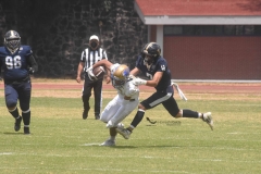 pumas-cu-autenticos-tigres-2022-intermedia-23