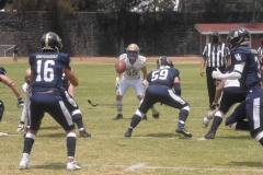 pumas-cu-autenticos-tigres-2022-intermedia-34