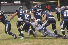 pumas-cu-autenticos-tigres-2022-intermedia-39