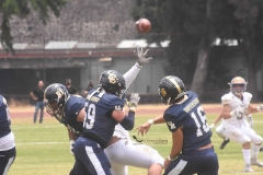pumas-cu-autenticos-tigres-2022-intermedia-40