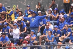 pumas-cu-autenticos-tigres-2022-intermedia-52