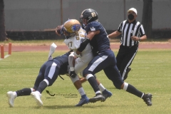 pumas-cu-autenticos-tigres-2022-intermedia-61