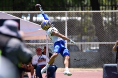 autenticos-tigres-aguilas-blancas-intermedia-2024-100