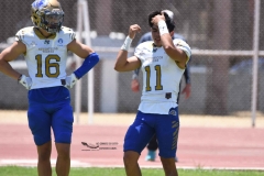 autenticos-tigres-aguilas-blancas-intermedia-2024-101