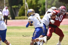 autenticos-tigres-aguilas-blancas-intermedia-2024-107