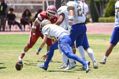 autenticos-tigres-aguilas-blancas-intermedia-2024-109