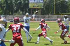 autenticos-tigres-aguilas-blancas-intermedia-2024-11